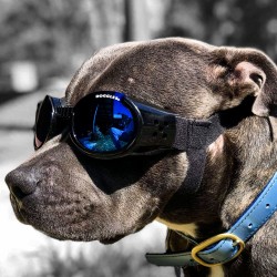 Doggles Protección ocular para perros