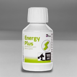 Energy plus